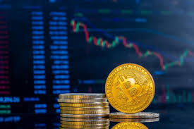 Казино Лаки Бир